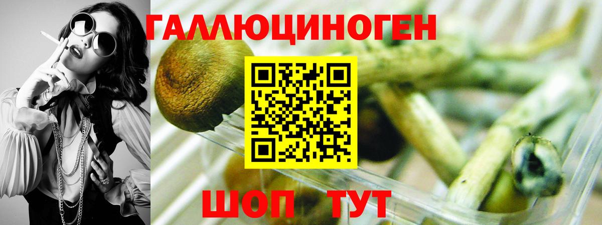 Псилоцибиновые грибы ЛСД Белгород