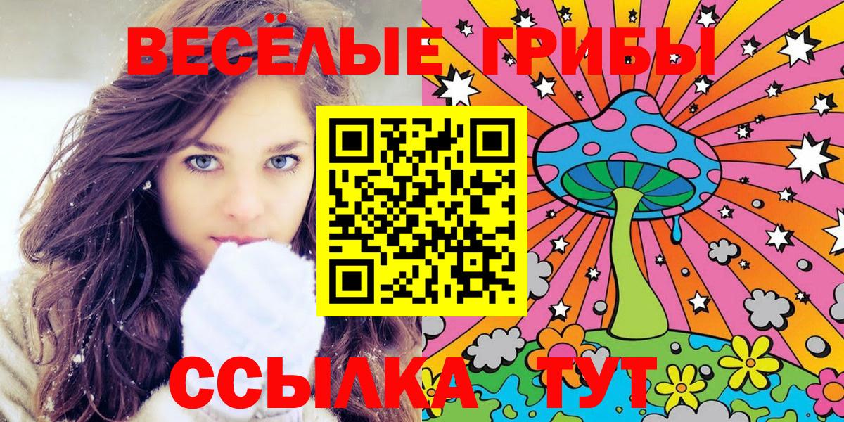 Галлюциногенные грибы Psilocybine cubensis  Вход с VPN  Белгород 